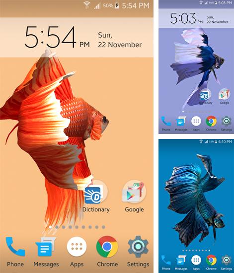 Дополнительно к живым обоям на Андроид телефоны и планшеты Пруд S4 , вы можете также бесплатно скачать заставку Betta Fish 3D.
