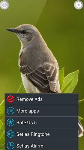 Screenshots do Sons de pássaros para tablet e celular Android.