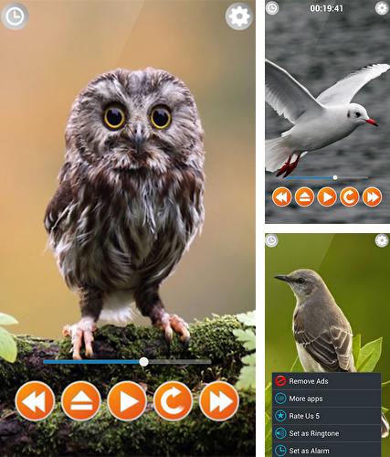 Descarga gratuita fondos de pantalla animados Sonidos de los pájaros para Android. Consigue la versión completa de la aplicación apk de Bird sounds para tabletas y teléfonos Android.