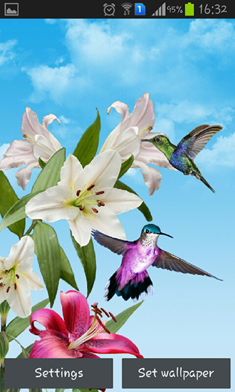Download livewallpaper Birds for Android. Get full version of Android apk livewallpaper Birds for tablet and phone.