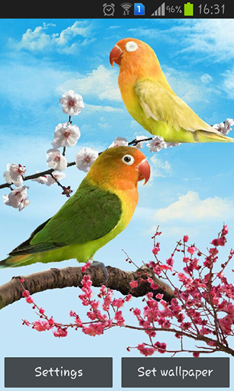Birds für Android spielen. Live Wallpaper Vögel kostenloser Download.