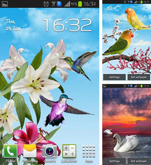 Дополнительно к живым обоям на Андроид телефоны и планшеты Райский пляж, вы можете также бесплатно скачать заставку Birds.