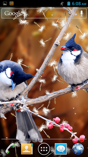 Birds 3D - безкоштовно скачати живі шпалери на Андроїд телефон або планшет.