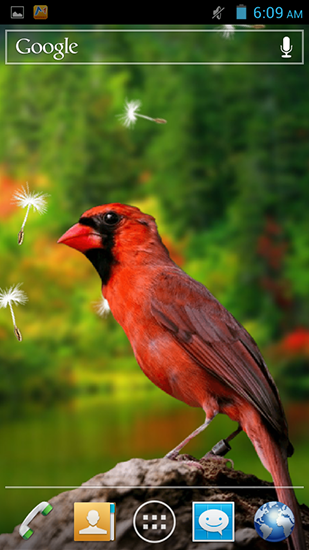 Download Birds 3D - livewallpaper for Android. Birds 3D apk - free download.