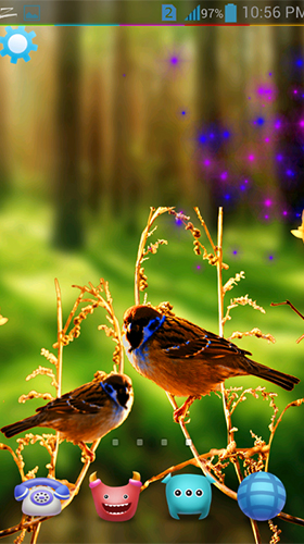 Birds 3D by AppQueen Inc. - скріншот живих шпалер для Android.