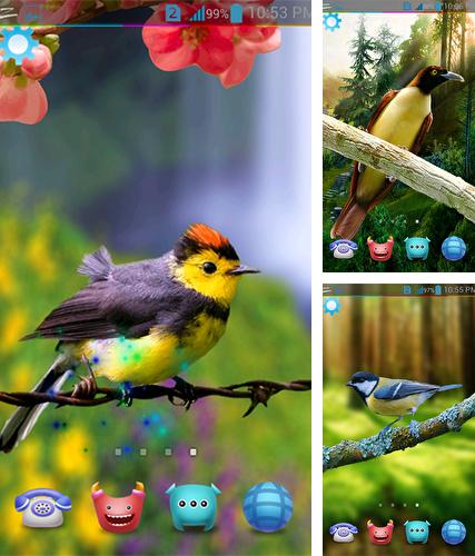 Descarga gratuita fondos de pantalla animados Aves 3D para Android. Consigue la versión completa de la aplicación apk de Birds 3D by AppQueen Inc. para tabletas y teléfonos Android.