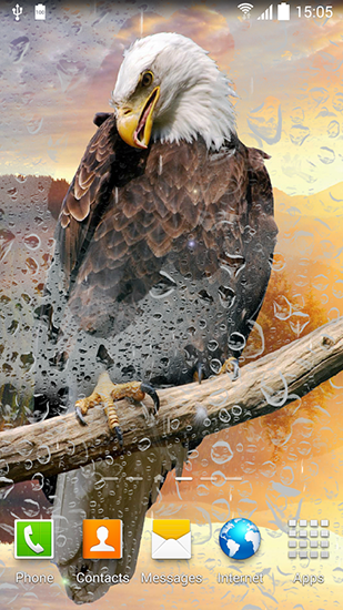 Birds by Blackbird wallpapers - безкоштовно скачати живі шпалери на Андроїд телефон або планшет.