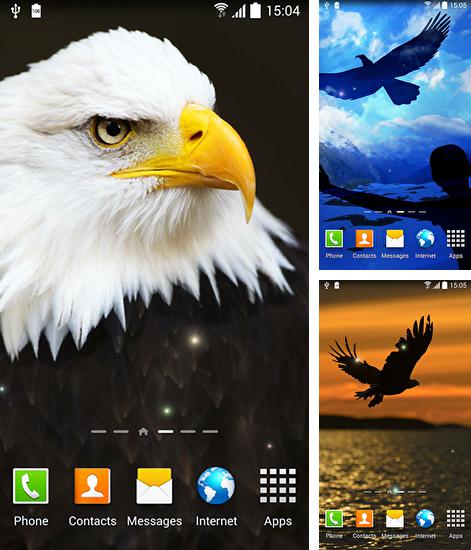 Дополнительно к живым обоям на Андроид телефоны и планшеты Леопард, вы можете также бесплатно скачать заставку Birds by Blackbird wallpapers.