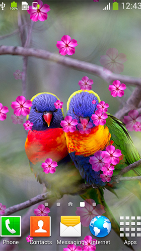 Як виглядають живі шпалери Birds in love.
