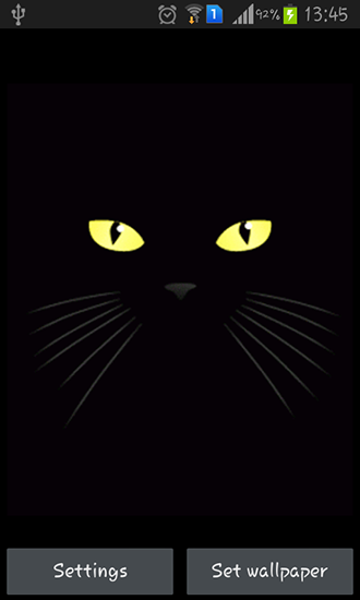 Papeis de parede animados Gato Negro para Android. Papeis de parede animados Black cat para download gratuito.