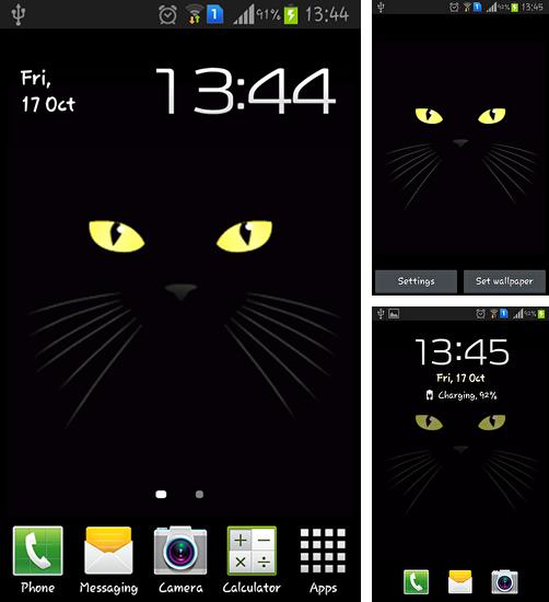 Télécharger le fond d'écran animé gratuit Chat noir  . Obtenir la version complète app apk Android Black cat pour tablette et téléphone.