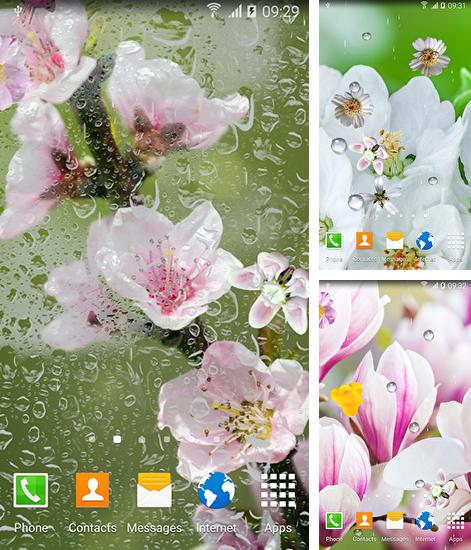 Android 搭載タブレット、携帯電話向けのライブ壁紙 ファイアープレース ビデオ HD のほかにも、咲いている木、Blooming trees も無料でダウンロードしていただくことができます。