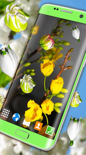Скриншот Blossoms 3D. Скачать живые обои на Андроид планшеты и телефоны.