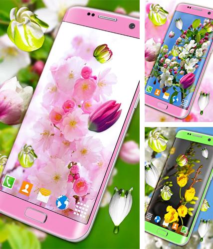 Kostenloses Android-Live Wallpaper Blüten. Vollversion der Android-apk-App Blossoms 3D für Tablets und Telefone.