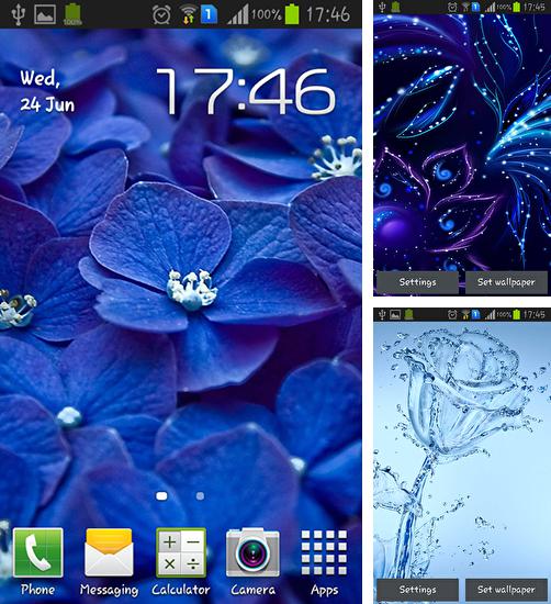 Zusätzlich zum Live Wallpaper Galaxie: Parallax für Android Mobiltelefone und Tablets, können Sie auch Blue flowers, Blaue Blumen kostenlos herunterladen.