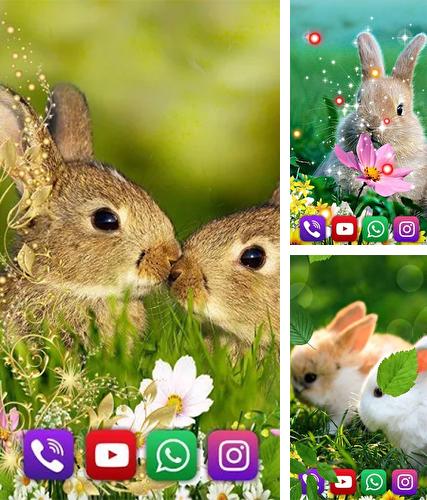 Kostenloses Android-Live Wallpaper Kaninchen. Vollversion der Android-apk-App Bunnies für Tablets und Telefone.