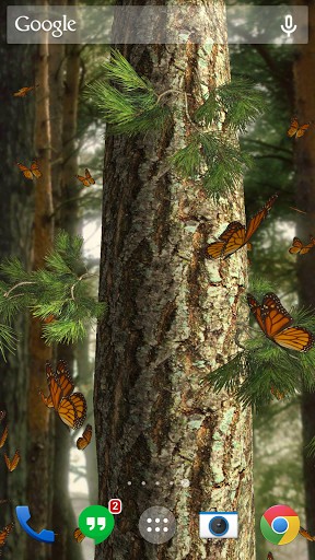 Descarga gratuita fondos de pantalla animados Mariposas 3D para Android. Consigue la versión completa de la aplicación apk de Butterflies 3D para tabletas y teléfonos Android.