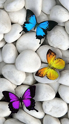 Kostenloses Android-Live Wallpaper Schmetterlinge. Vollversion der Android-apk-App Butterflies by Happy live wallpapers für Tablets und Telefone.