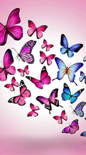 Téléchargement gratuit de Butterflies by Happy live wallpapers pour Android.
