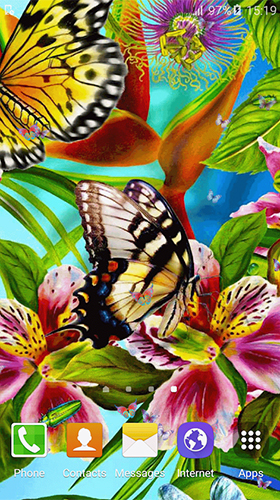 Screenshots von Butterfly by Free Wallpapers and Backgrounds für Android-Tablet, Smartphone.
