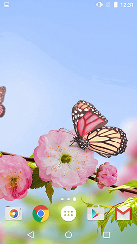 Геймплей Butterfly by Fun Live Wallpapers для Android телефона.