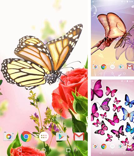 Kostenloses Android-Live Wallpaper Schmetterling. Vollversion der Android-apk-App Butterfly by Fun Live Wallpapers für Tablets und Telefone.