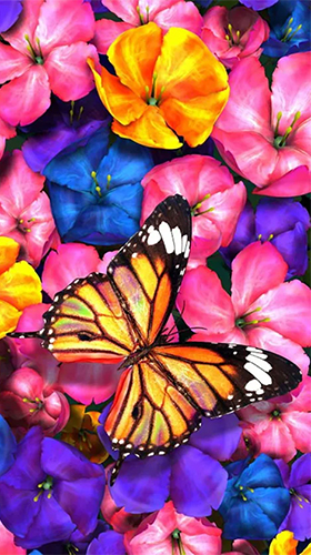 Butterfly by HQ Awesome Live Wallpaper