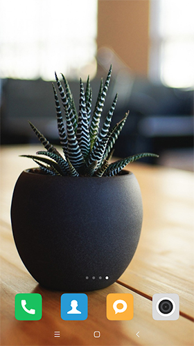 Cactus - скачать бесплатно живые обои для Андроид на рабочий стол.