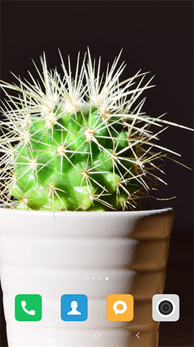 Screenshots of the Cactus for Android tablet, phone.