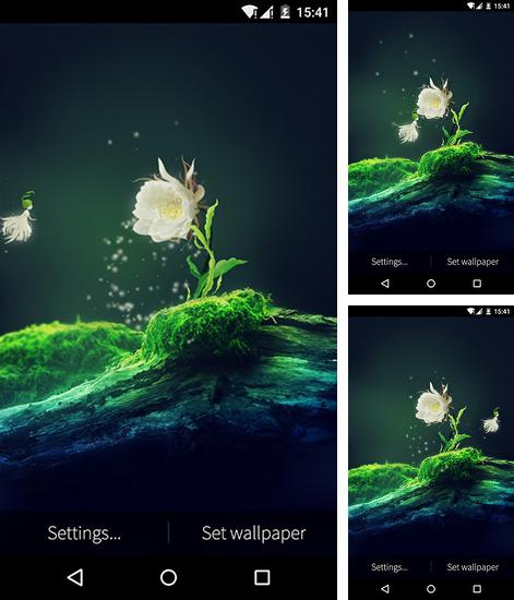 Kostenloses Android-Live Wallpaper Kaktusblüte. Vollversion der Android-apk-App Cactus flower für Tablets und Telefone.