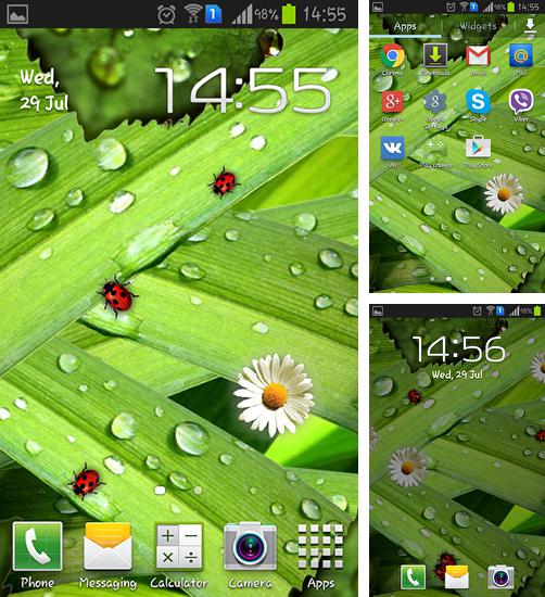 Download live wallpaper Camomiles and ladybugs for Android. Get full version of Android apk livewallpaper Camomiles and ladybugs for tablet and phone.