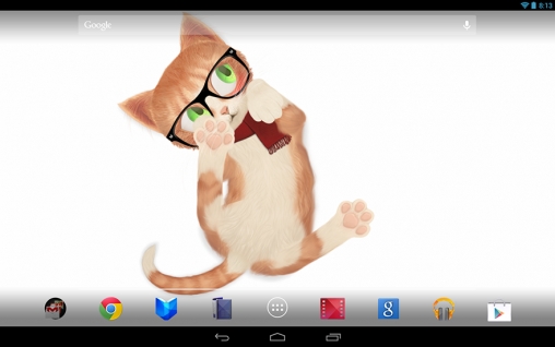 Cat HD - скачать бесплатно живые обои для Андроид на рабочий стол.