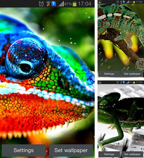 Додатково до живої шпалери Мотокрос для Android телефонів та планшетів, Ви можете також безкоштовно скачати Chameleon.