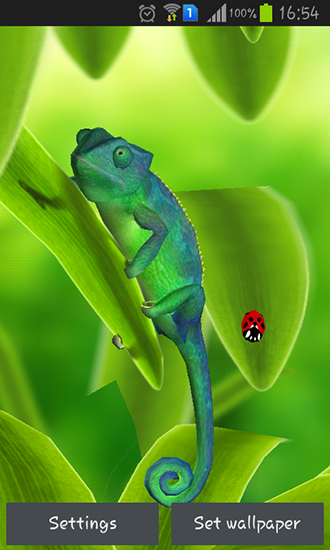 Chameleon 3D - бесплатно скачать живые обои на Андроид телефон или планшет.