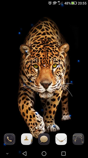 Download livewallpaper Cheetah for Android. Get full version of Android apk livewallpaper Cheetah for tablet and phone.