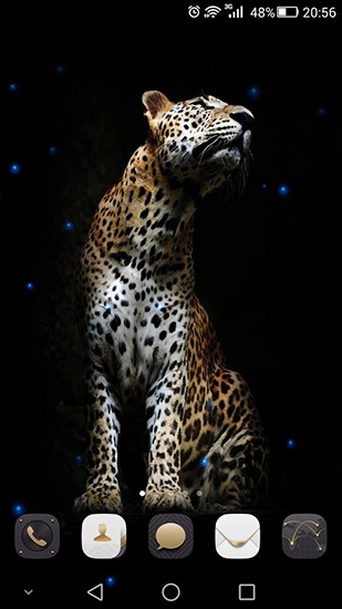 Screenshots von Cheetah für Android-Tablet, Smartphone.