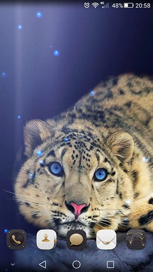 Screenshots of the Cheetah for Android tablet, phone.