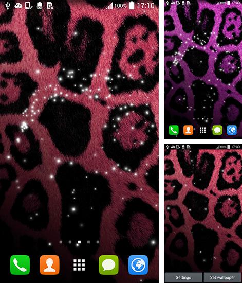 Kostenloses Android-Live Wallpaper Gepard. Vollversion der Android-apk-App Cheetah by Live mongoose für Tablets und Telefone.