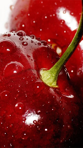 Download Cherry - livewallpaper for Android. Cherry apk - free download.