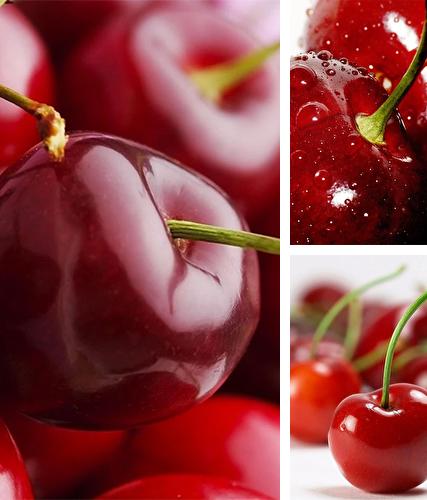 Download live wallpaper Cherry for Android. Get full version of Android apk livewallpaper Cherry for tablet and phone.