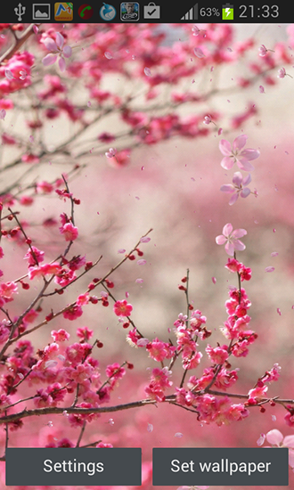 Télécharger le fond d'écran animé gratuit Cerises fleurissantes . Obtenir la version complète app apk Android Cherry blossom by Creative factory wallpapers pour tablette et téléphone.