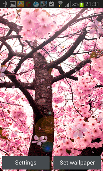 Fondos de pantalla animados a Cherry blossom by Creative factory wallpapers para Android. Descarga gratuita fondos de pantalla animados La flor del cerezo.