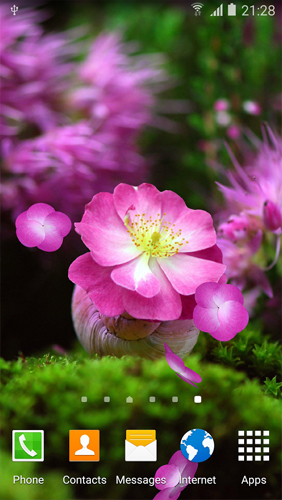 Cherry Blossom - безкоштовно скачати живі шпалери на Андроїд телефон або планшет.