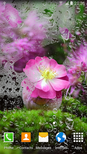 Screenshots do Flor de cerejeira para tablet e celular Android.
