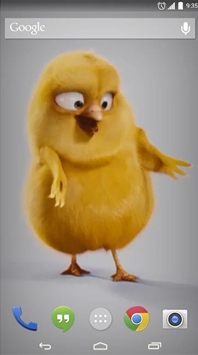 Fondos de pantalla animados a Chickens para Android. Descarga gratuita fondos de pantalla animados Pollitos.