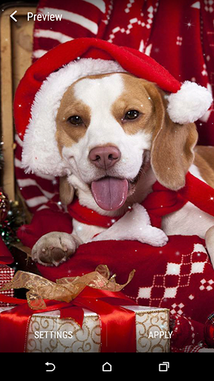 Download Christmas animals - livewallpaper for Android. Christmas animals apk - free download.