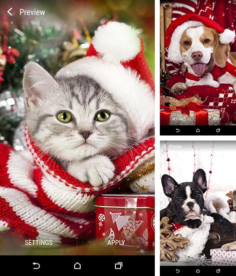 Kostenloses Android-Live Wallpaper Weihnachtliche Tiere. Vollversion der Android-apk-App Christmas animals für Tablets und Telefone.