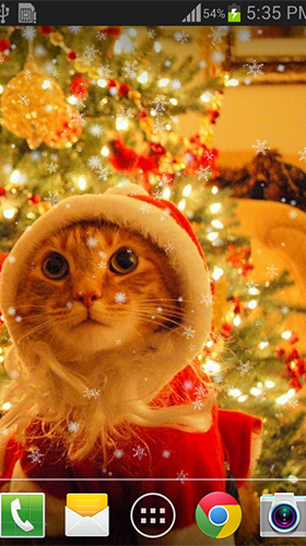 Télécharger le fond d'écran animé gratuit Chat de Noël. Obtenir la version complète app apk Android Christmas cat by live wallpaper HongKong pour tablette et téléphone.