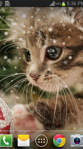 Christmas cat by live wallpaper HongKong - скриншоты живых обоев для Android.