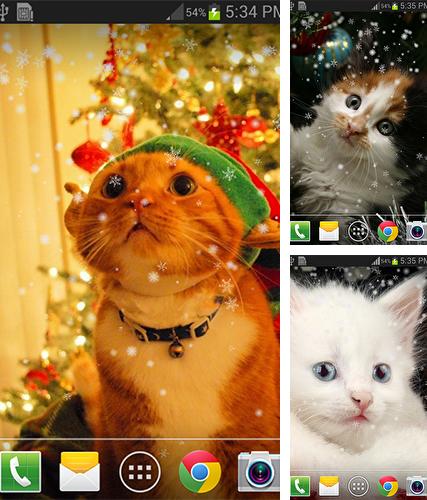 Kostenloses Android-Live Wallpaper Weihnachtskatze. Vollversion der Android-apk-App Christmas cat by live wallpaper HongKong für Tablets und Telefone.